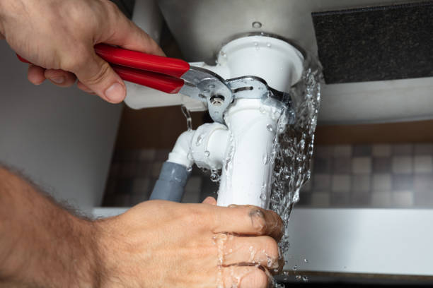 Best Professional water damage repair  in Glen Gardner, NJ