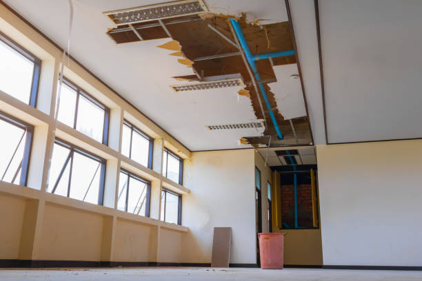 Best Flood restoration services  in Glen Gardner, NJ