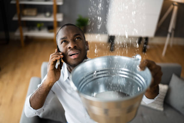 Best Mold removal after water damage  in Glen Gardner, NJ
