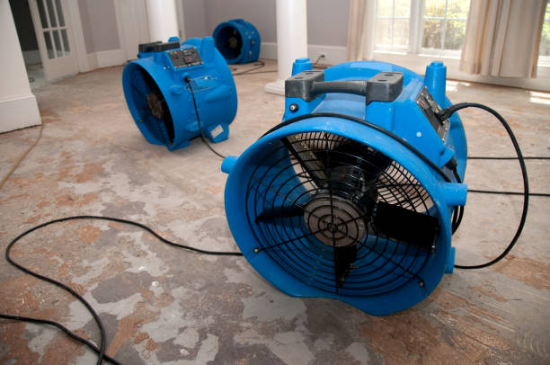 Best Water damage restoration near me  in Glen Gardner, NJ