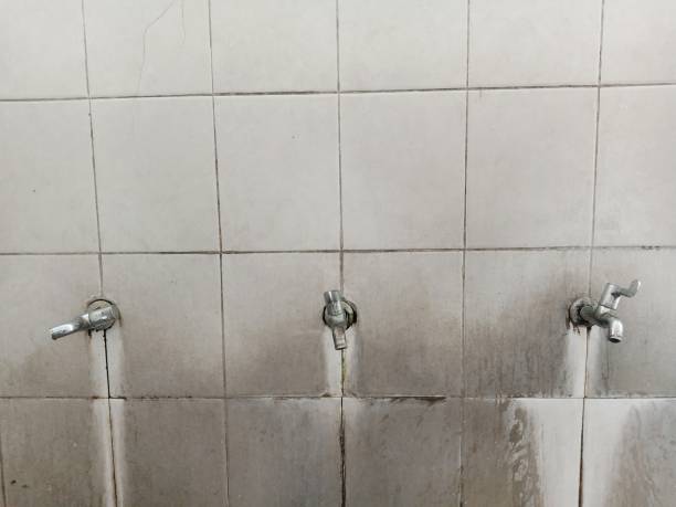 Best Carpet water damage restoration  in Glen Gardner, NJ